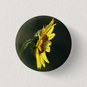 F43 Gelbe Wildblume Black-eyed Susan Button
