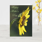 F43 Gelbe Wildblume Schwarz-mit Augen Susan Karte (Gelbe Blume)