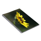 F43 Gelbe Wildblume Schwarz-mit Augen Susan Notizblock (Rechte Seite)