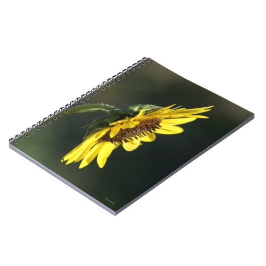 F43 Gelbe Wildblume Schwarz-mit Augen Susan Notizblock (Linke Seite)