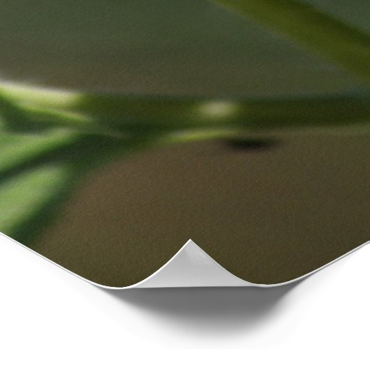 F43 Gelbe Wildblume Schwarz-mit Augen Susan Poster (Ecke)