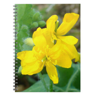 F44 Gelbe Wildblume Wilder Senf Notizblock