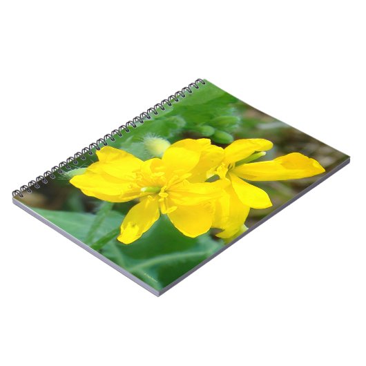 F44 Gelbe Wildblume WildSenf Notizblock (Linke Seite)