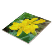 F44 Gelbe Wildblumen WildSenf Fliese (Seite)