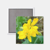 F44 Gelbe Wildblumen WildSenf Magnet (Vorderseite/Rückseite)