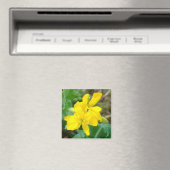 F44 Gelbe Wildblumen WildSenf Magnet (In Situ (Geschirrspüler))