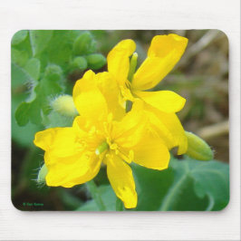 F44 Gelbe Wildblumen WildSenf Mousepad
