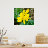 F44 Gelbe Wildblumen WildSenf Poster (Küche)