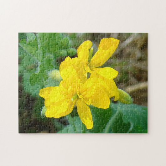 F44 Gelbe Wildblumen WildSenf Puzzle (Horizontal)