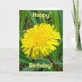 F45 Dandelion "Taraxacum officinale" Karte (Vorderseite)