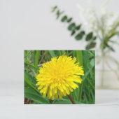 F45 Dandelion "Taraxacum officinale" Postkarte (Stehend Vorderseite)