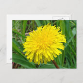 F45 Dandelion "Taraxacum officinale" Postkarte (Vorne/Hinten)