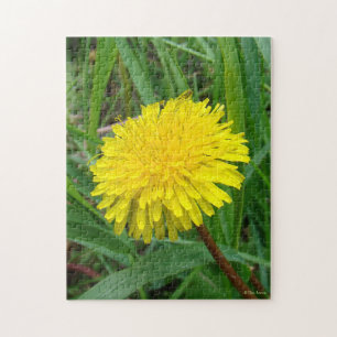 F45 Dandelion "Taraxacum officinale" Puzzle