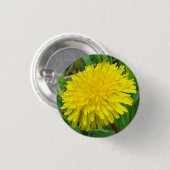 F45 Löwenzahn "Taraxacum officinale " Button (Vorne & Hinten)
