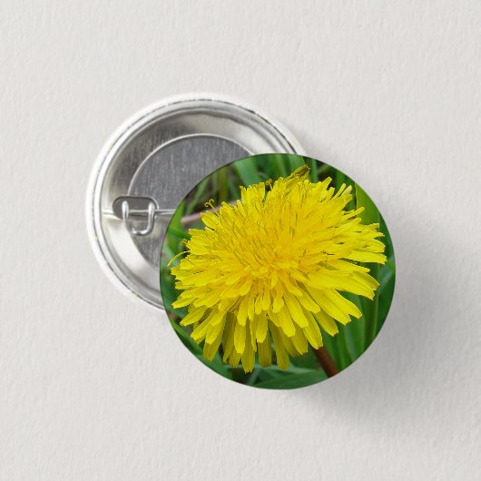 F45 Löwenzahn "Taraxacum officinale " Button (Vorne & Hinten)