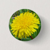 F45 Löwenzahn "Taraxacum officinale " Button (Vorderseite)