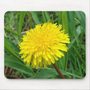 F45 Löwenzahn "Taraxacum Officinale" Mousepad