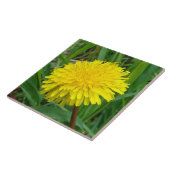 F45 Lüster "Taraxacum officinale" Fliese (Seite)