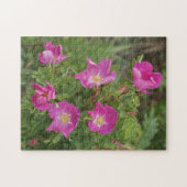 F46 Wilde Rose Puzzle (Horizontal)