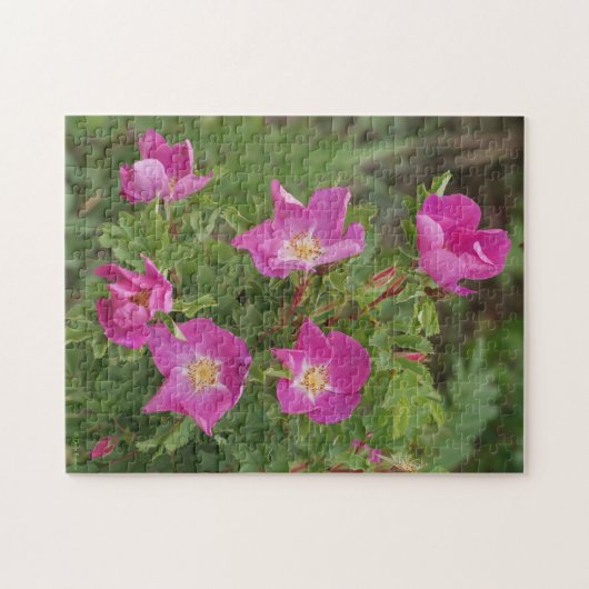 F46 Wilde Rose Puzzle (Horizontal)