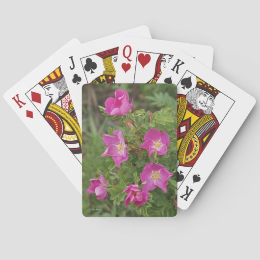 F46 Wilde Rose Spielkarten (Rückseite)
