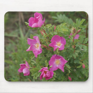 F46 Wilde Rosen Mousepad