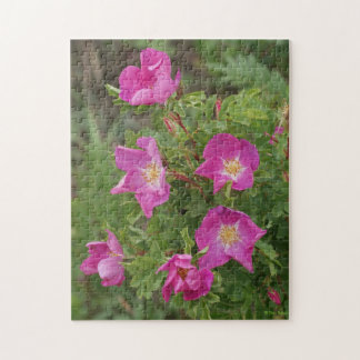 F46 Wilde Rosen Puzzle