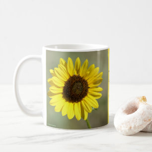 F47 Gelbe Wildblume Gewöhnliche Einjährige Sonnenb Kaffeetasse