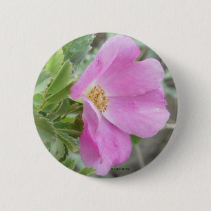 F4 Alberta Wilde Rose Button