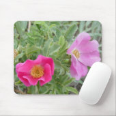 F4 Wilde Rose Mousepad (Mit Mouse)
