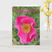 F4a Wild Rose Karte (Gelbe Blume)