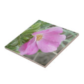 F4b Wild Rose Fliese (Seite)