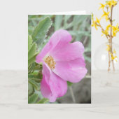 F4b Wild Rose Karte (Gelbe Blume)