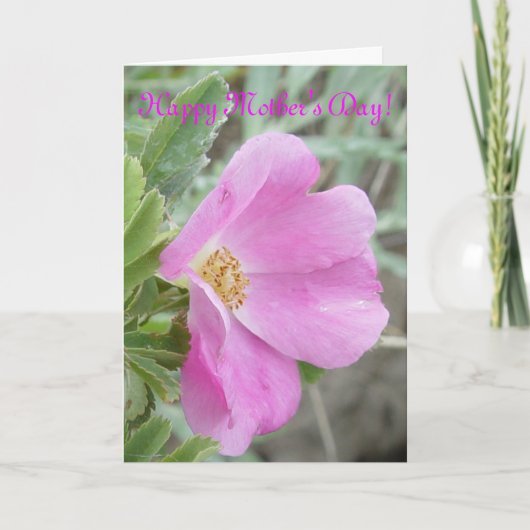 F4b Wilde Rose Karte (Vorderseite)