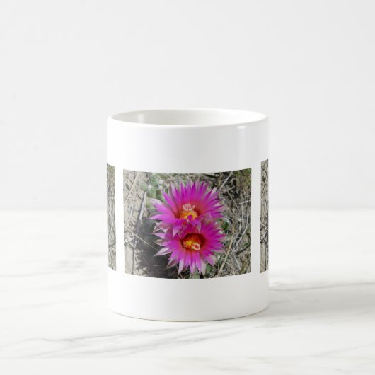 F5 Ball Cactus Blume "Escobaria vivipara" Kaffeetasse (Mittel)