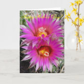 F5 Ball Cactus Blume "Escobaria vivipara" Karte (Gelbe Blume)