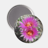 F5 Ball Cactus Blume "Escobaria vivipara" Magnet (Vorderseite/Rückseite)