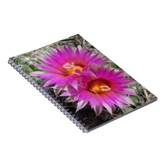 F5 Ball Cactus Blume "Escobaria vivipara" Notizblock (Rechte Seite)