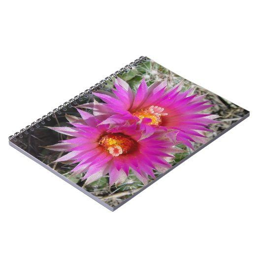 F5 Ball Cactus Blume "Escobaria vivipara" Notizblock (Linke Seite)