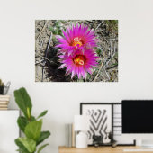 F5 Ball Cactus Blume Escobaria vivipara Poster (Heimbüro)