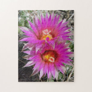 F5 Kugelkaktus-Blüten "Escobaria vivipara" Puzzle