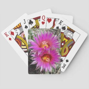 F5 Kugelkaktus-Blüten "Escobaria vivipara" Spielkarten