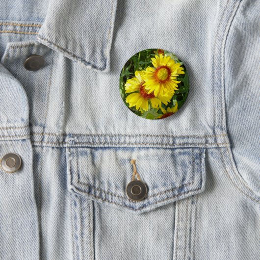 F6 Gelbe Wildblumen Gaillardia Button (Beispiel)