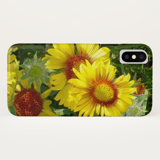F6 Gelbe Wildblumen Gaillardia Case-Mate iPhone Hülle (Rückseite (Horizontal))