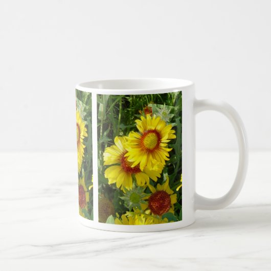 F6 Gelbe Wildblumen Gaillardia Kaffeetasse (Rechts)