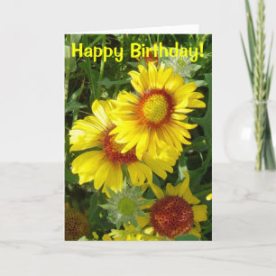 F6 Gelbe Wildblumen Gaillardia Karte