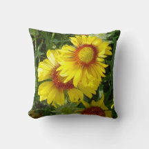 F6 Gelbe Wildblumen Gaillardia