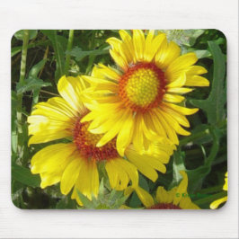 F6 Gelbe Wildblumen Gaillardia Mousepad