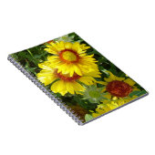 F6 Gelbe Wildblumen Gaillardia Notizblock (Rechte Seite)
