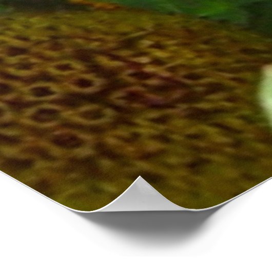 F6 Gelbe Wildblumen Gaillardia Poster (Ecke)